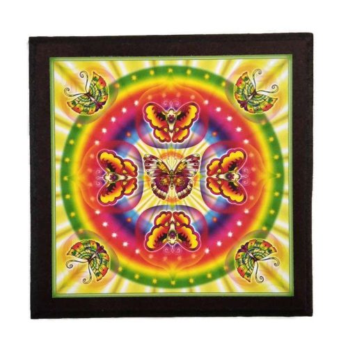Mandala Megújulás