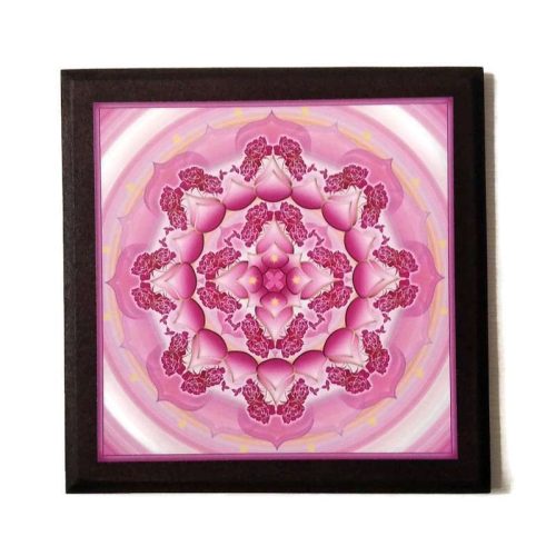 Mandala Társtalálás 2
