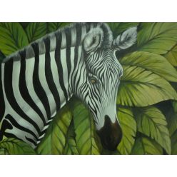 Zebra festmény