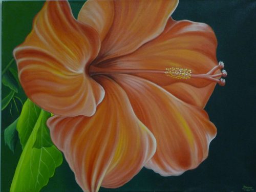 Narancs színű hibiszkusz virág festmény